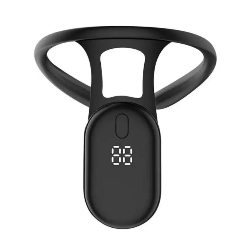HOMEFISH HOMEFISH 大人と子供向けスマート姿 - Smart Posture Sensor のレビューと価格